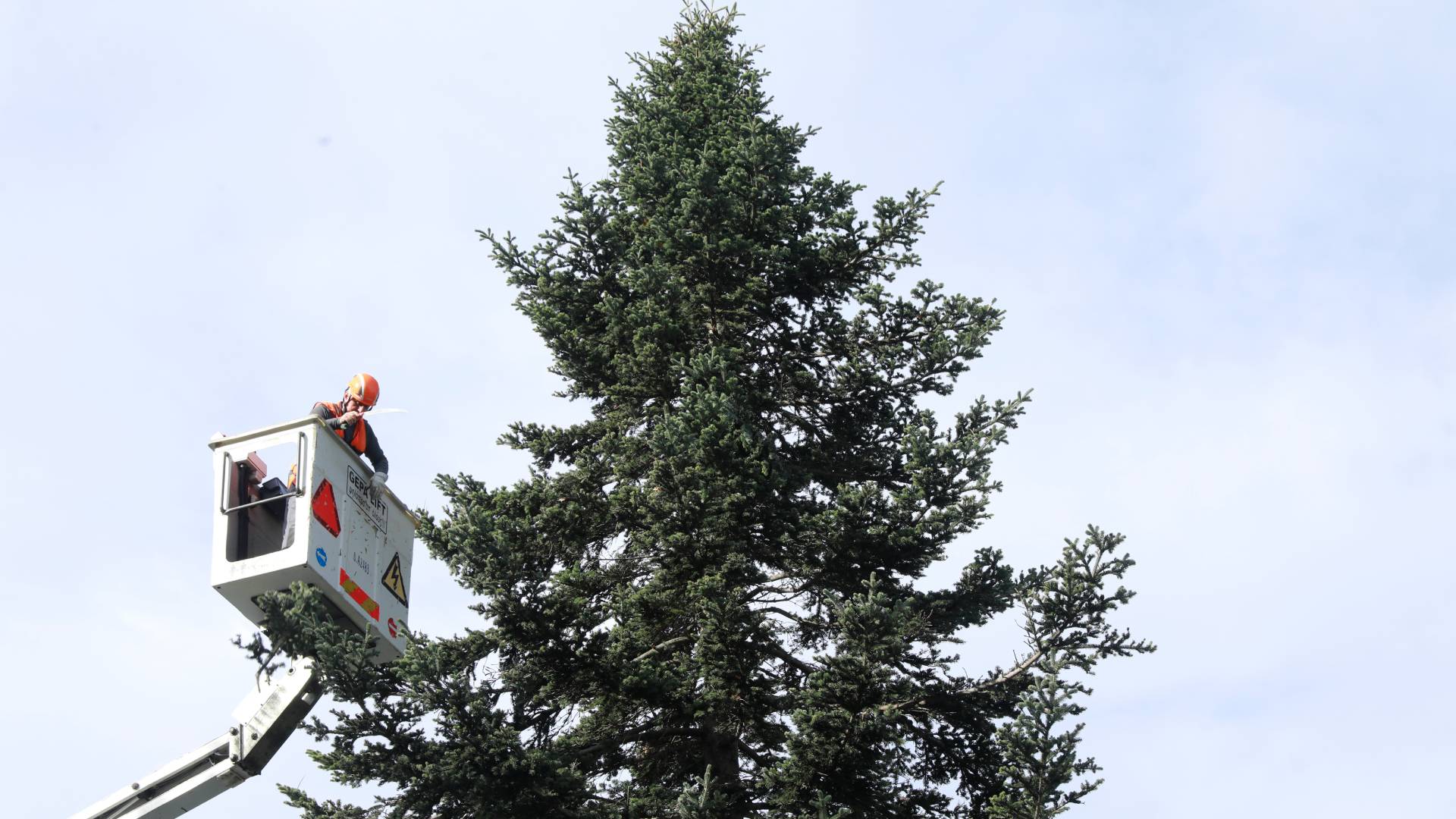 Σύνταγμα: Την Πέμπτη η φωταγώγηση του χριστουγεννιάτικου δέντρου-1