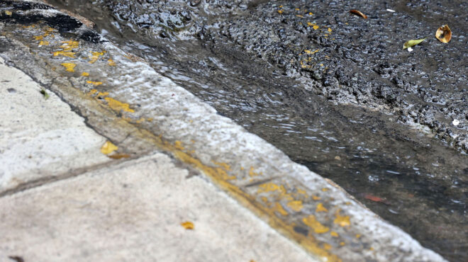 κακοκαιρία-bora-η-πυροσβεστική-δέχθηκε-294-κ-563350924