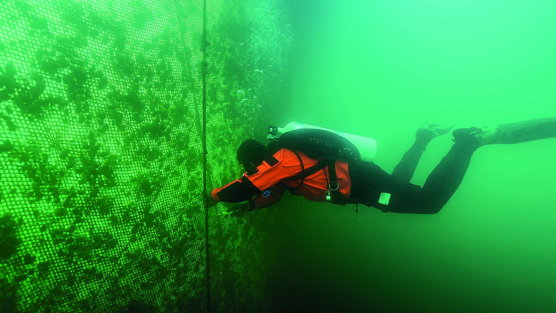 Τα θαλάσσια «φαντάσματα» του Αμβρακικού-3