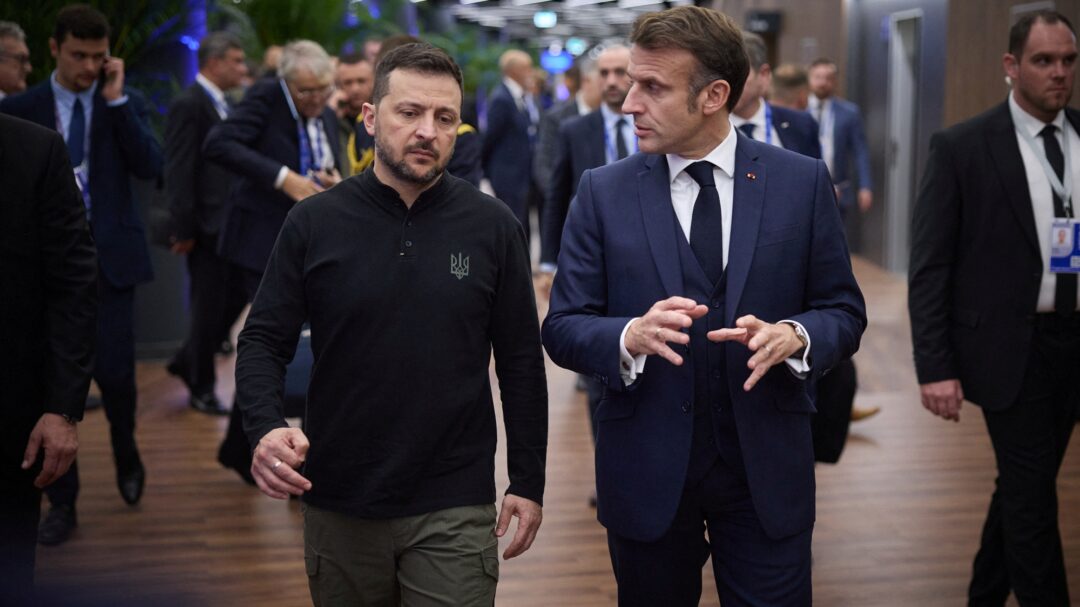 φυτοφάγοι-στη-ζούγκλα-563314864