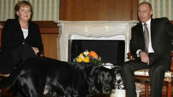 ο-πούτιν-ζήτησε-συγγνώμη-από-τη-μέρκελ-563346040