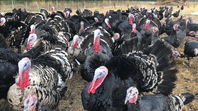 εργατική-τάξη-και-αριστερά-το-τέλος-μι-563337169