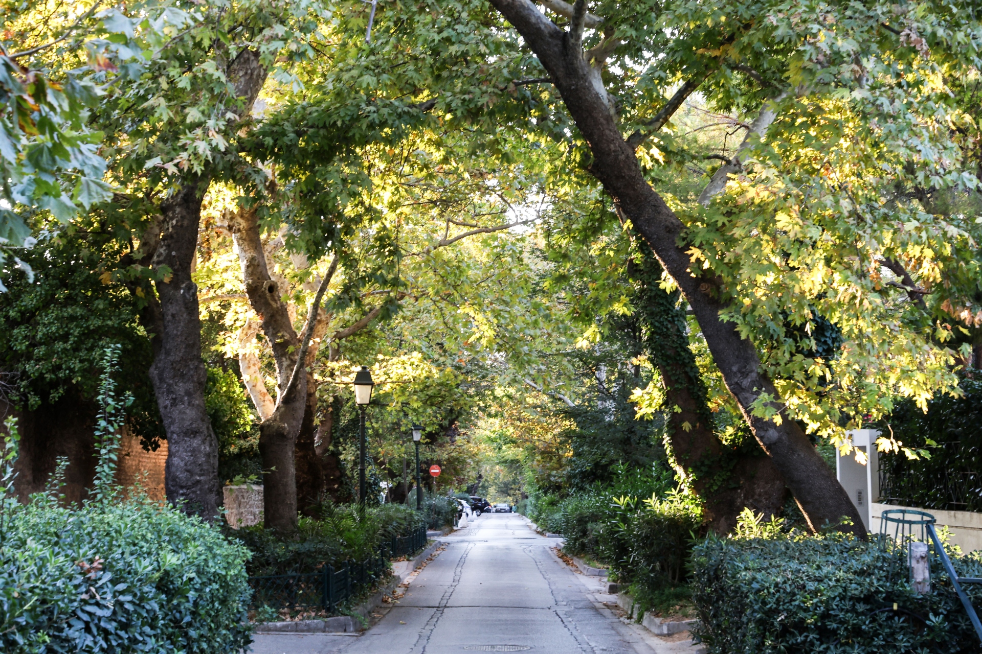 «Οι Κηφισιώτες δεν αγαπούμε τα βόρεια προάστια, αγαπούμε την πόλη μας»-3
