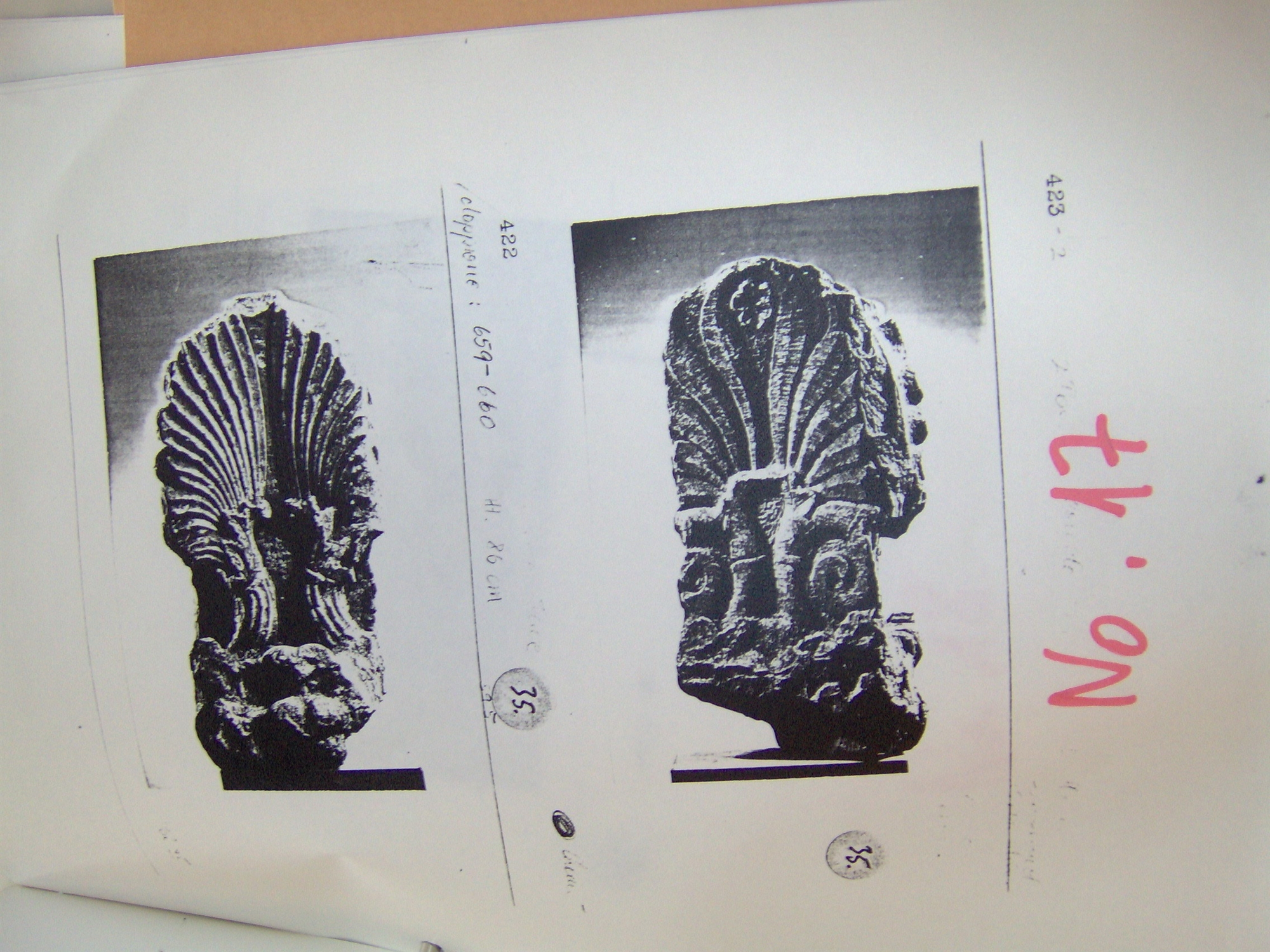 Ο «Νίνο» και το θρίλερ με το χαμένο ανθέμιο-5