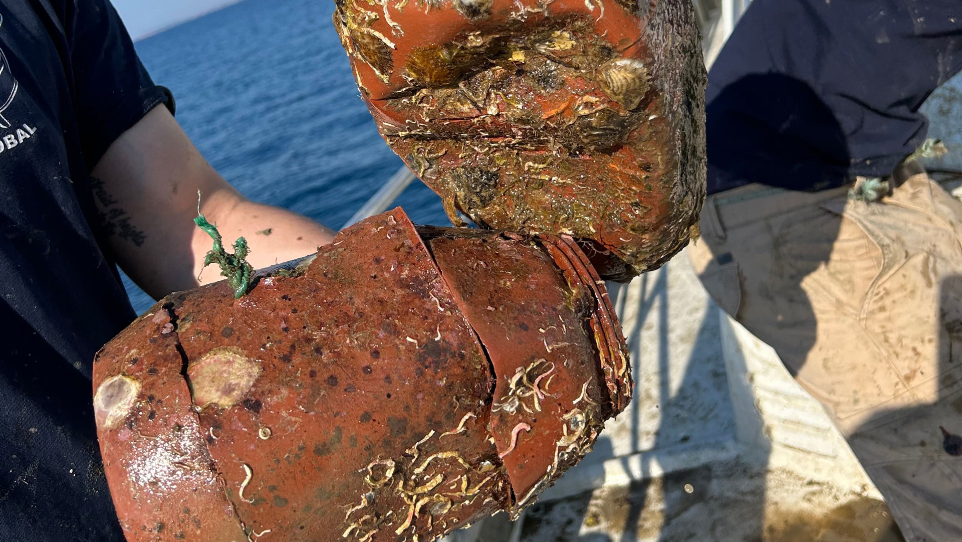 Πόρτο Λάγος: «Ψάρεψαν» 6.500 παγίδες χταποδιών-1