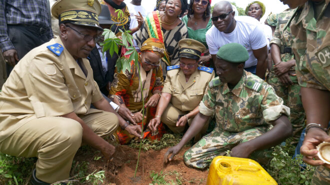 μάλι-ακτιβιστές-φυτεύουν-δέντρα-αλλά-563325703