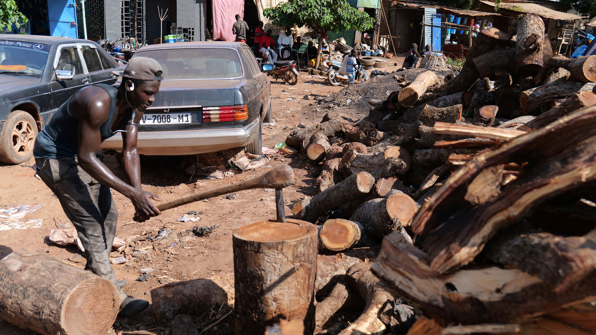 Μάλι: Ακτιβιστές φυτεύουν δέντρα, αλλά οι κάτοικοι «χρειάζονται καυσόξυλα»-2