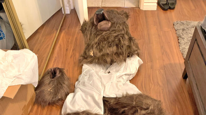 καλιφόρνια-αρκούδες-χάραζαν-αυτοκ-563323684