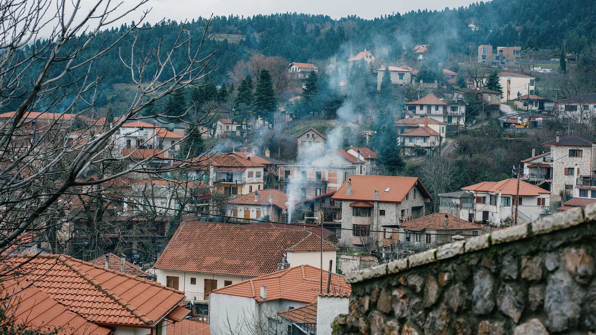 Μονοήμερη εκδρομή στον Παρνασσό-3