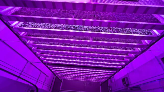 οι-επενδύσεις-των-χωρών-του-κόλπου-στη-563322964