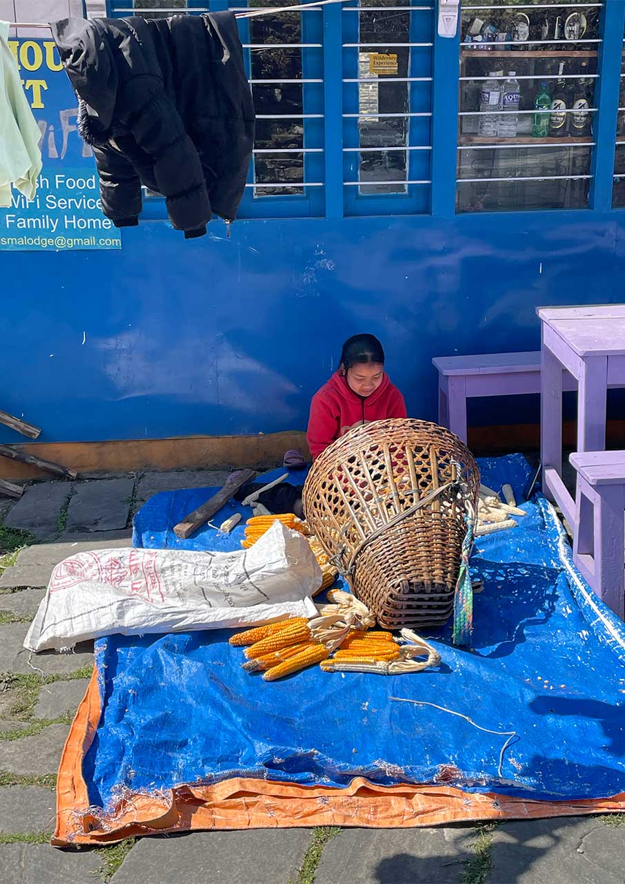Ανεβαίνοντας στα Ιμαλάια με τον γιο μου-6