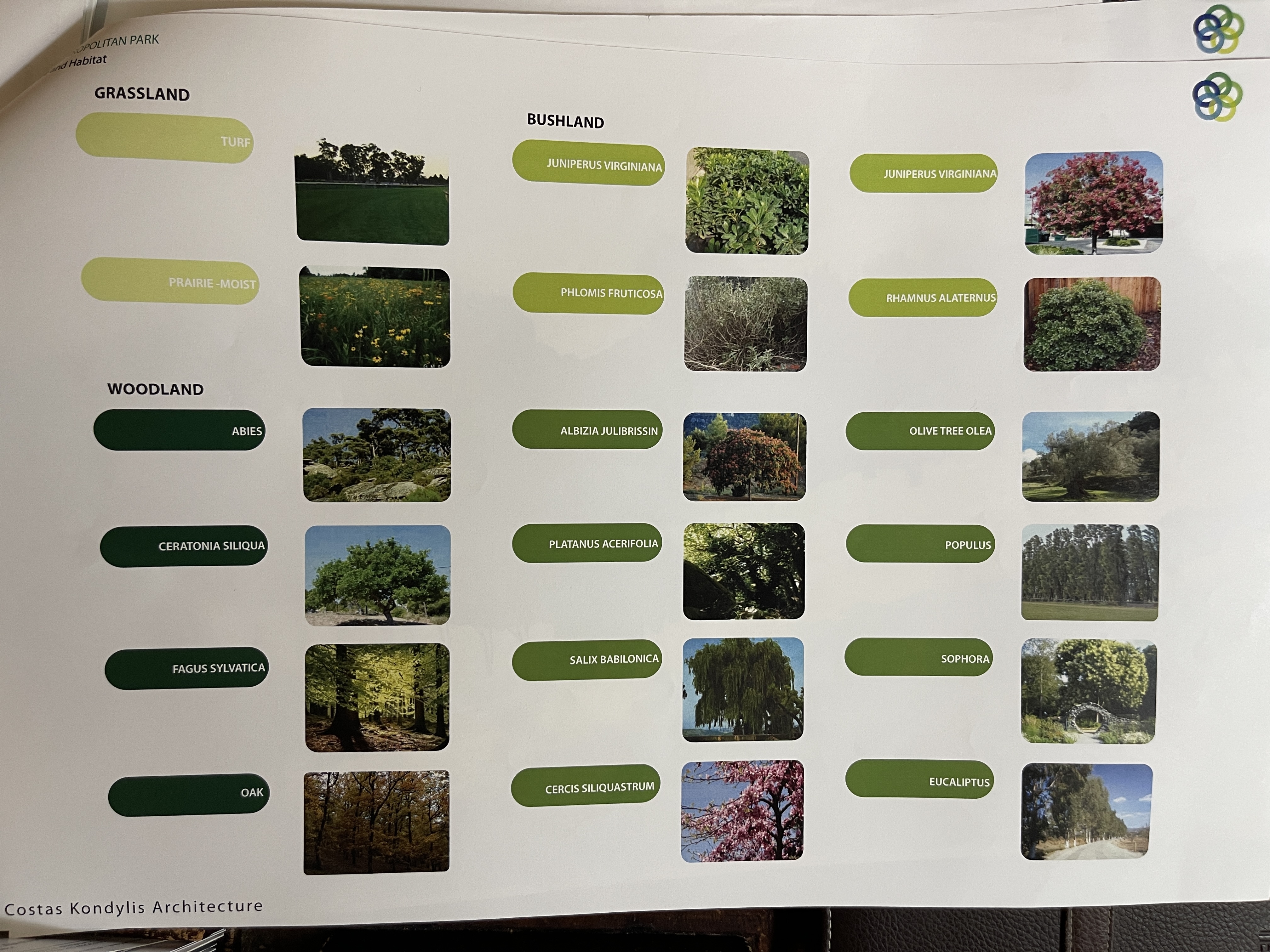 Ο φάκελος του Τραμπ για το Ελληνικό-8