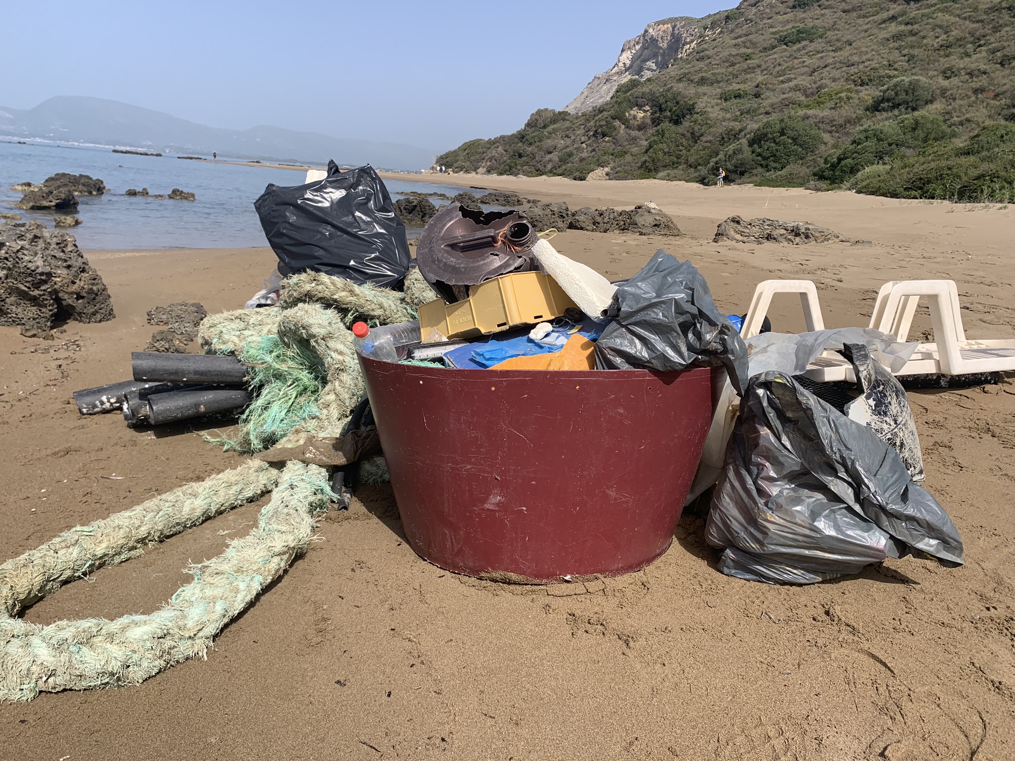 Οι καρέτα καρέτα επιστρέφουν θριαμβευτικά-6