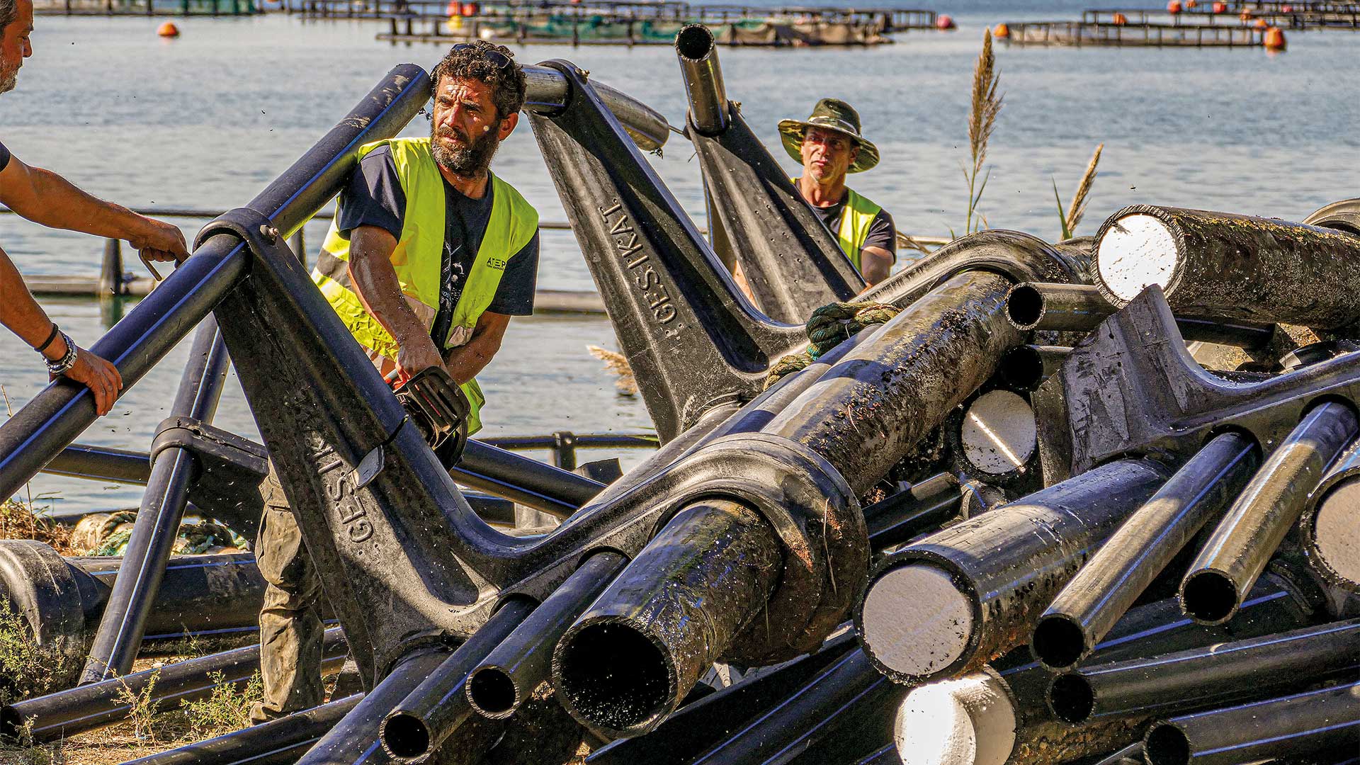 Τα θαλάσσια «φαντάσματα» του Αμβρακικού-1
