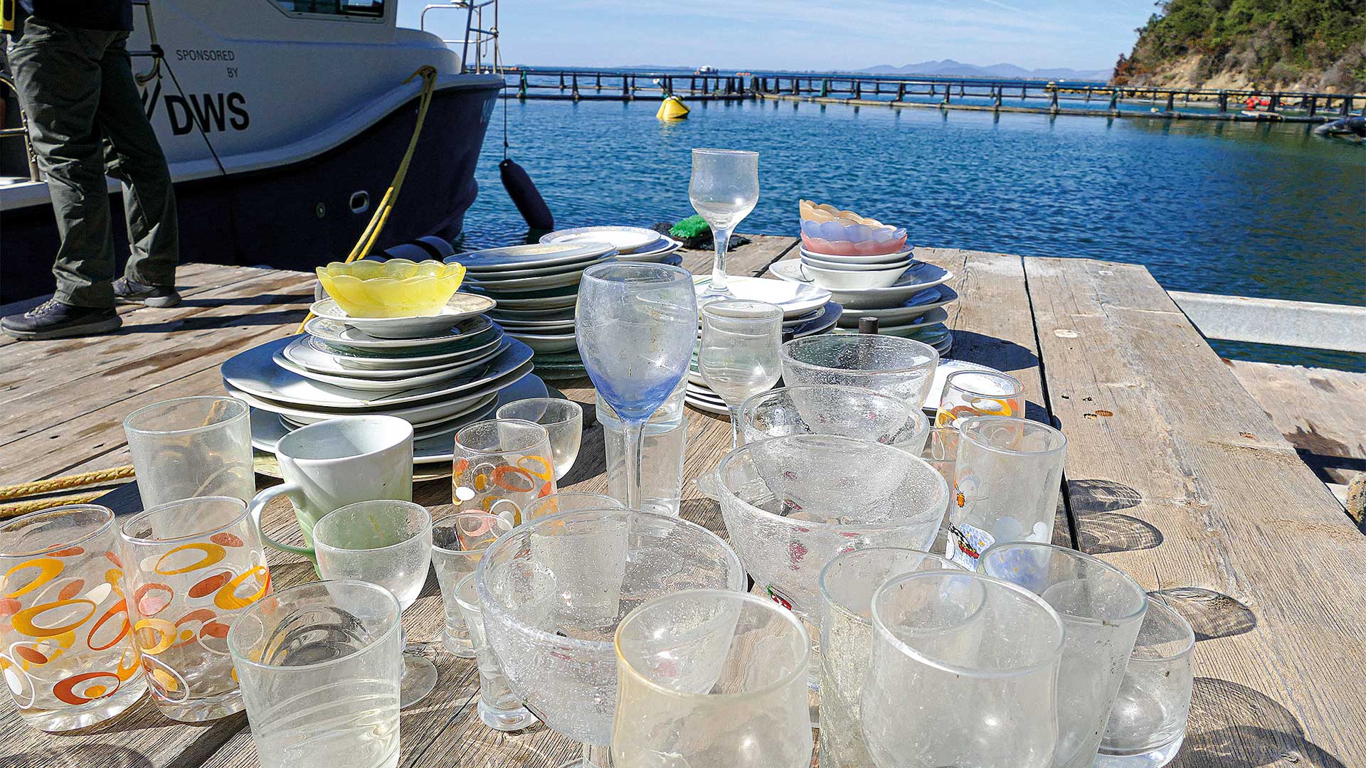 Τα θαλάσσια «φαντάσματα» του Αμβρακικού-4