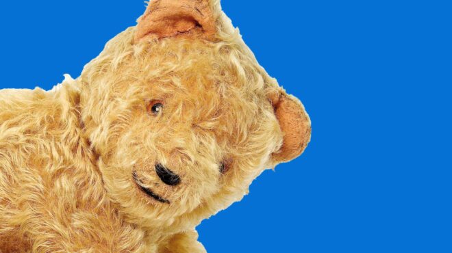 πώς-το-λούτρινο-αρκουδάκι-κατέκτησε-τ-563340892