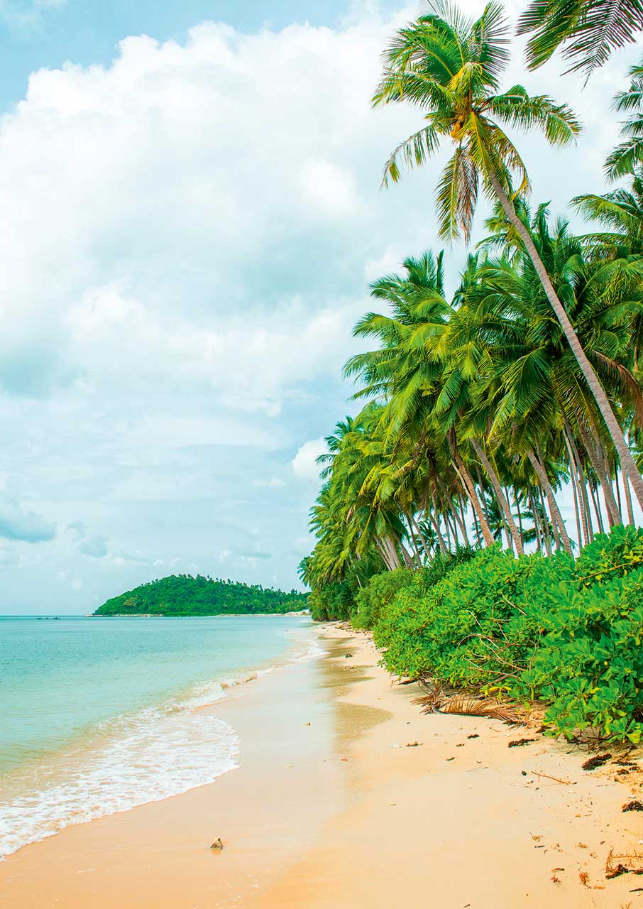 Στο Κο Σαμούι για slow living-13