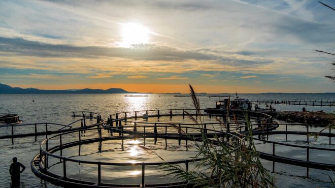 τα-θαλάσσια-φαντάσματα-του-αμβρακι-563347225