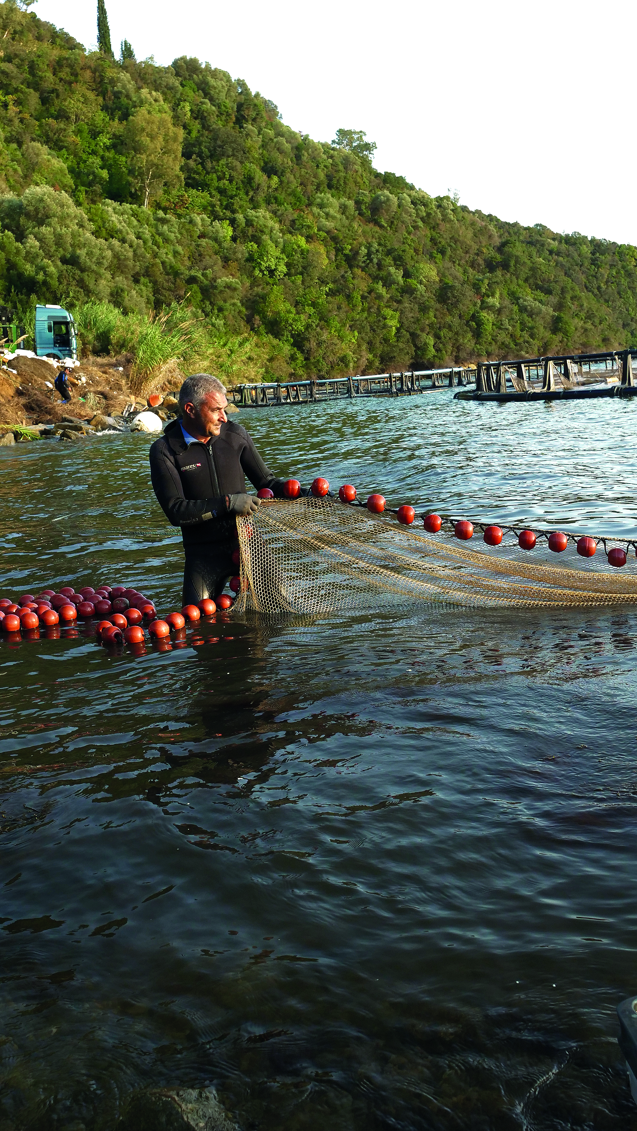 Τα θαλάσσια «φαντάσματα» του Αμβρακικού-5