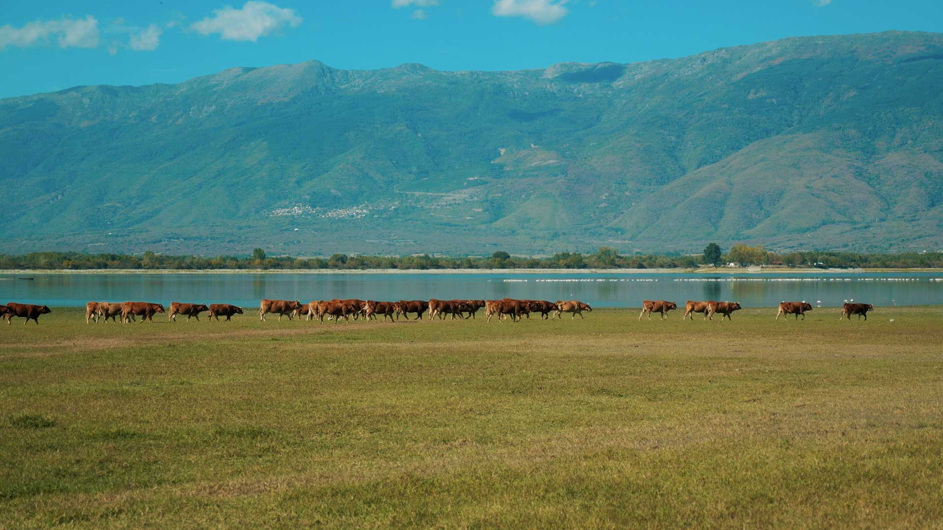 7 δραστηριότητες για ένα Σαββατοκύριακο αδρεναλίνης και χαλάρωσης στις Σέρρες-8