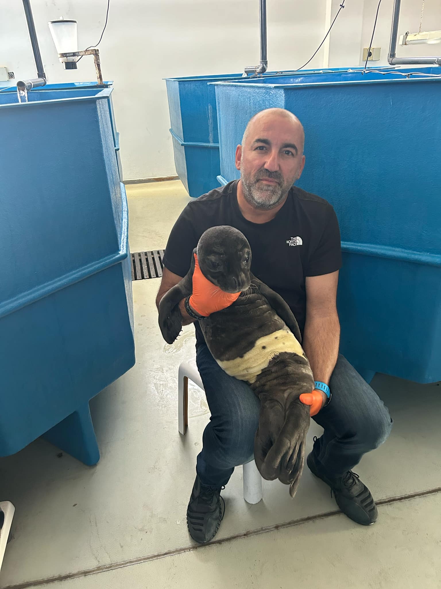 Οι ιστορίες του Παναγή, του Ρένου και της Κωνσταντίνας-1