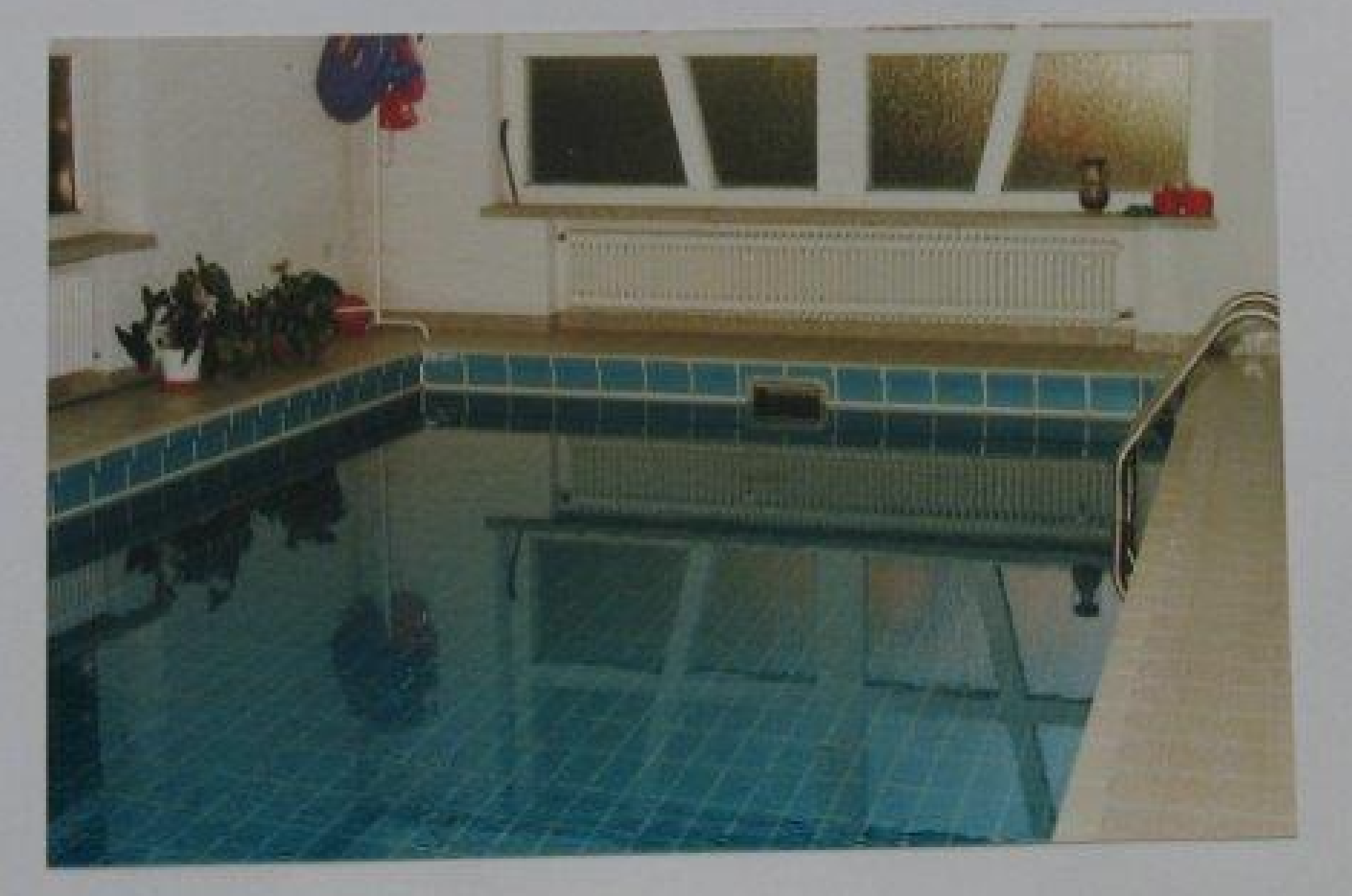 Ο «Νίνο» και το θρίλερ με το χαμένο ανθέμιο-3