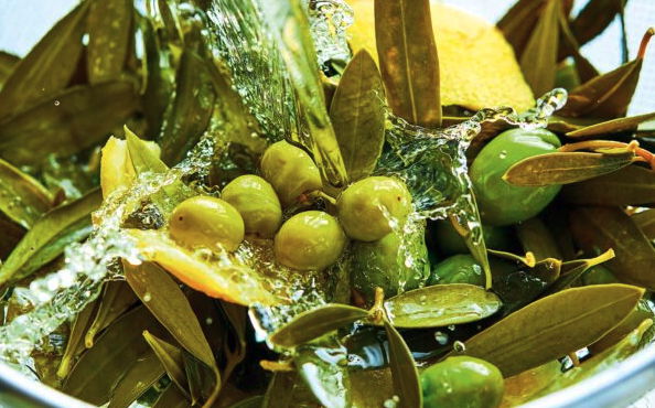 λικέρ-με-πράσινες-ελιές-563303812