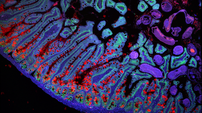 ερευνητές-δημιούργησαν-το-πρώτο-google-maps-563334964