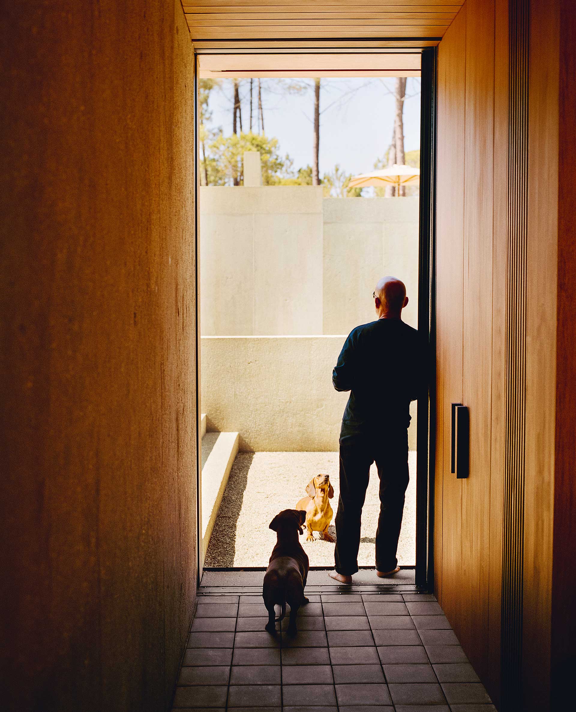 Το βασίλειο της απλότητας-2