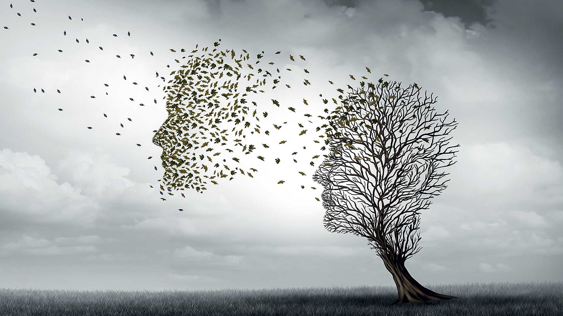 Ποια είναι η βαθμολογία σας στο Brain Care Score;-3