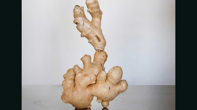 το-μπαχαρικό-που-κάνει-καλό-στο-στομάχ-563333728