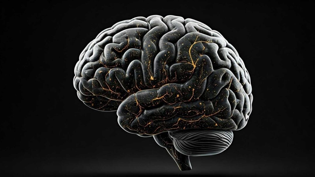 ποια-είναι-η-βαθμολογία-σας-στο-brain-care-score-563347288