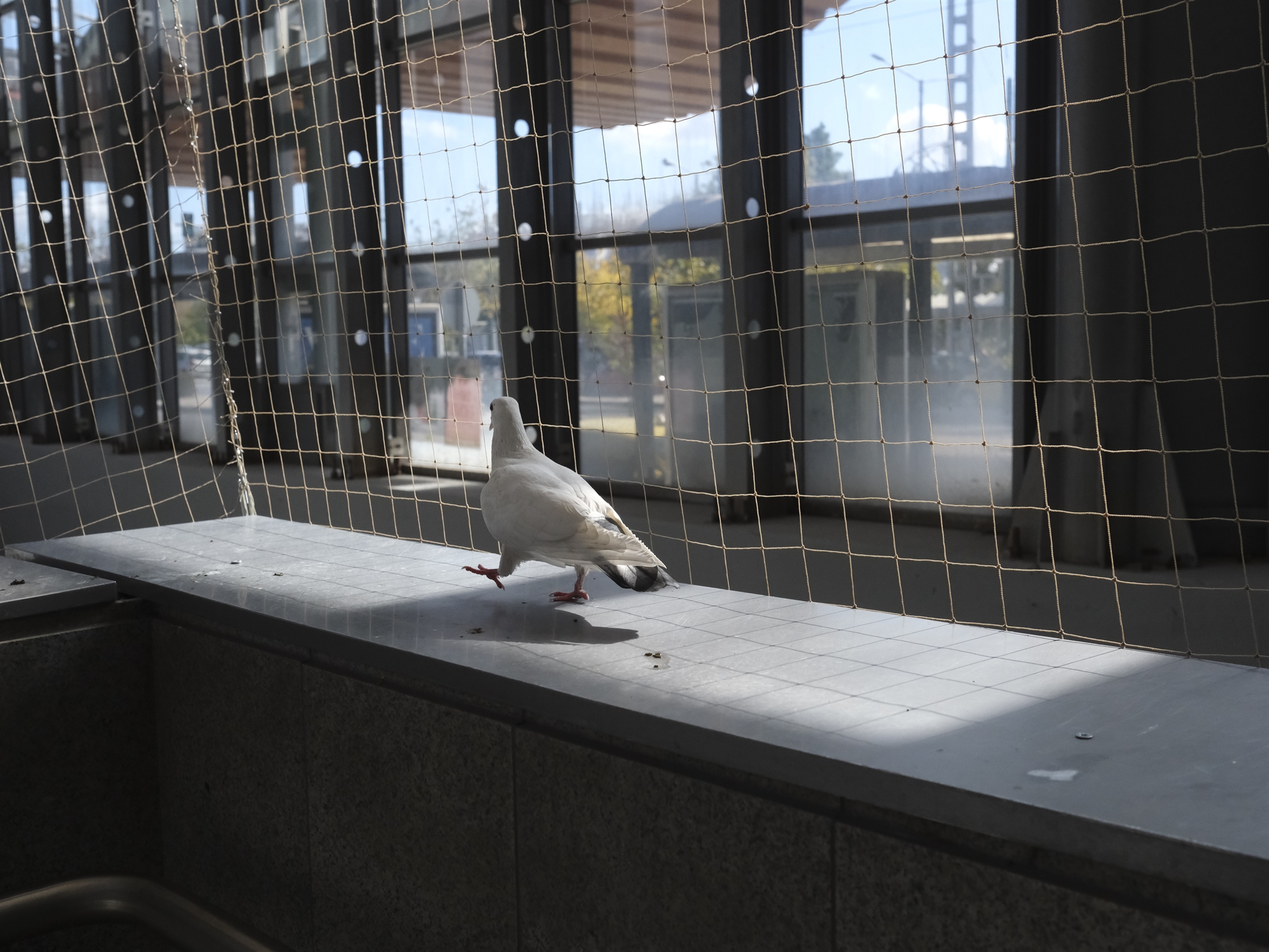 Επόμενος σταθμός: Φθορά-2