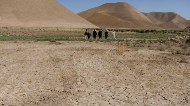 cop29-αξιωματούχοι-της-κυβέρνησης-ταλιμπ-563316727