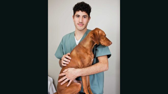 το-μαγικό-εμβόλιο-της-στείρωσης-και-η-ε-563333821