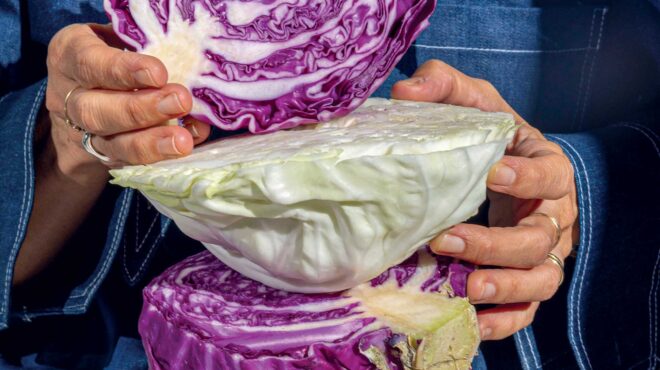 το-λαχανικό-που-βοηθά-στην-υγεία-του-εν-563323543