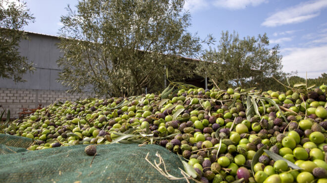 αύξηση-πωλήσεων-μείωση-καθαρών-κερδώ-563311117