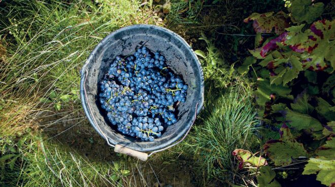 10-πράγματα-που-πρέπει-να-ξέρετε-για-τα-beaujolais-563345911