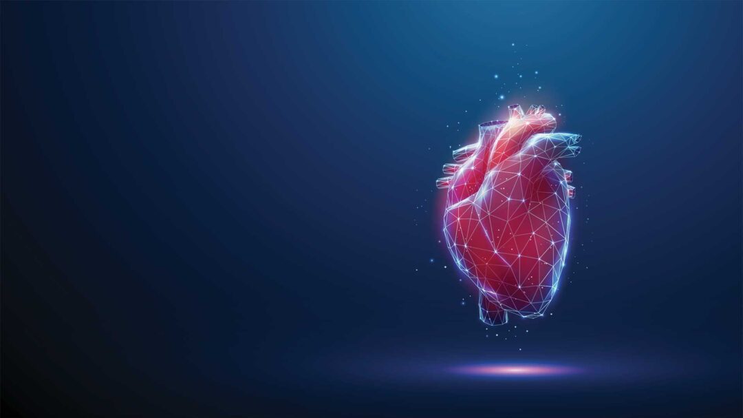 επιλογές-επιδιόρθωσης-της-ανεπάρκει-563347270