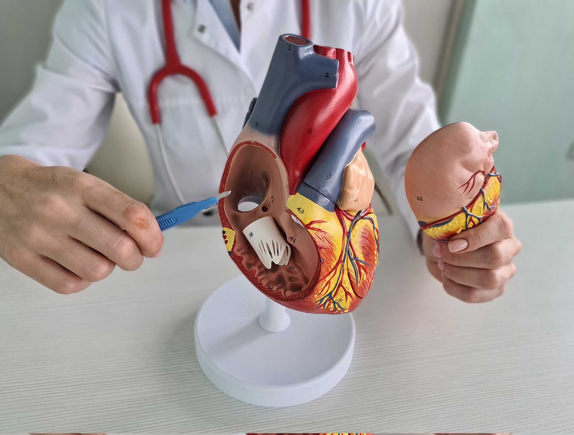 Επιλογές επιδιόρθωσης της ανεπάρκειας της τριγλώχινας βαλβίδας-1