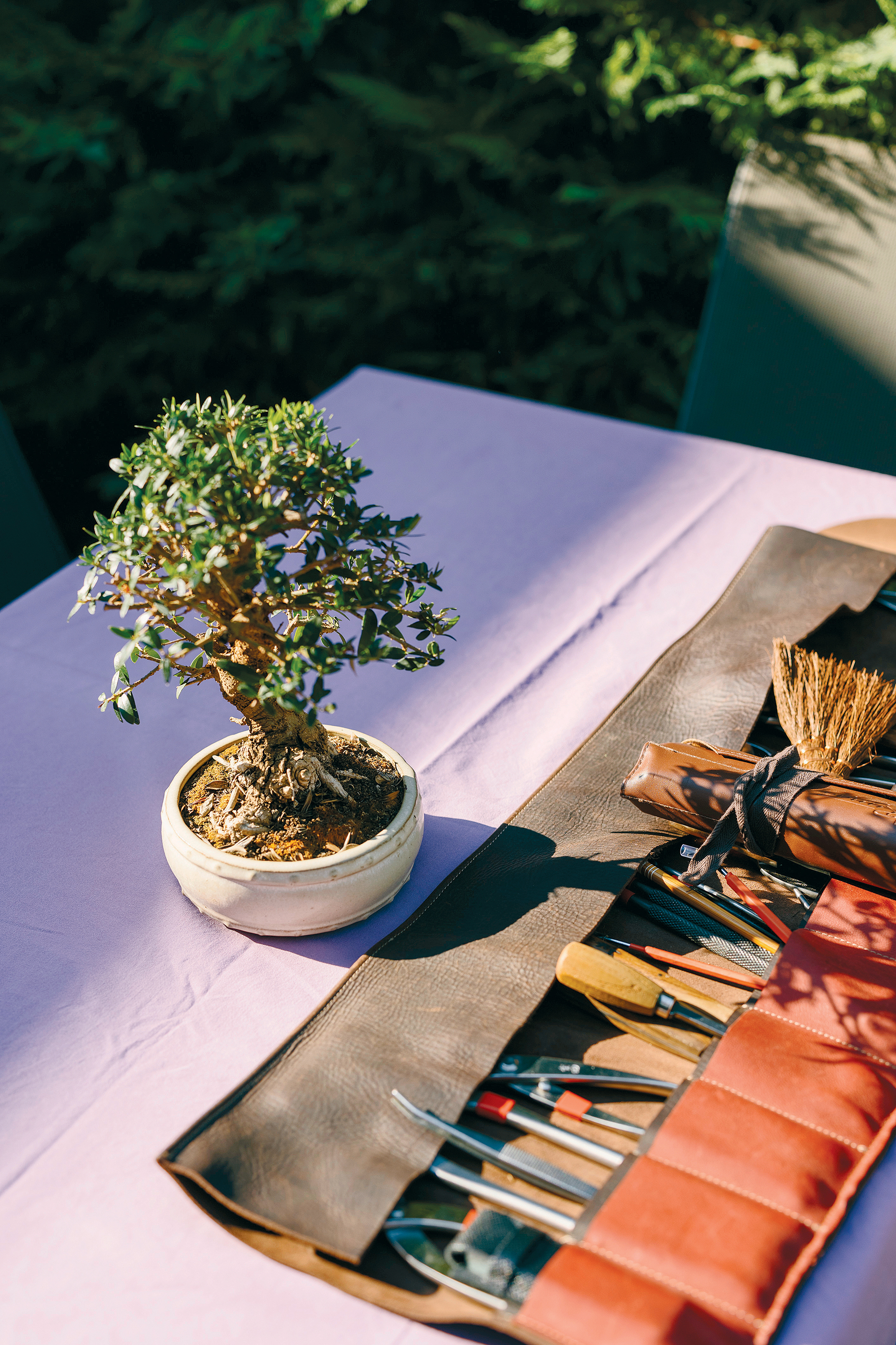 Υπάρχει κήπος με 100 μπονσάι στις Αχαρνές;-2