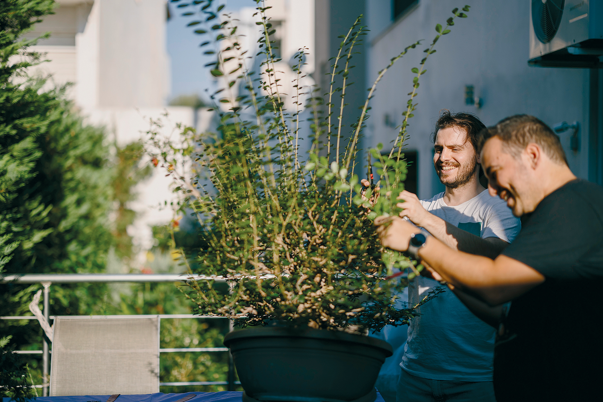 Υπάρχει κήπος με 100 μπονσάι στις Αχαρνές;-3