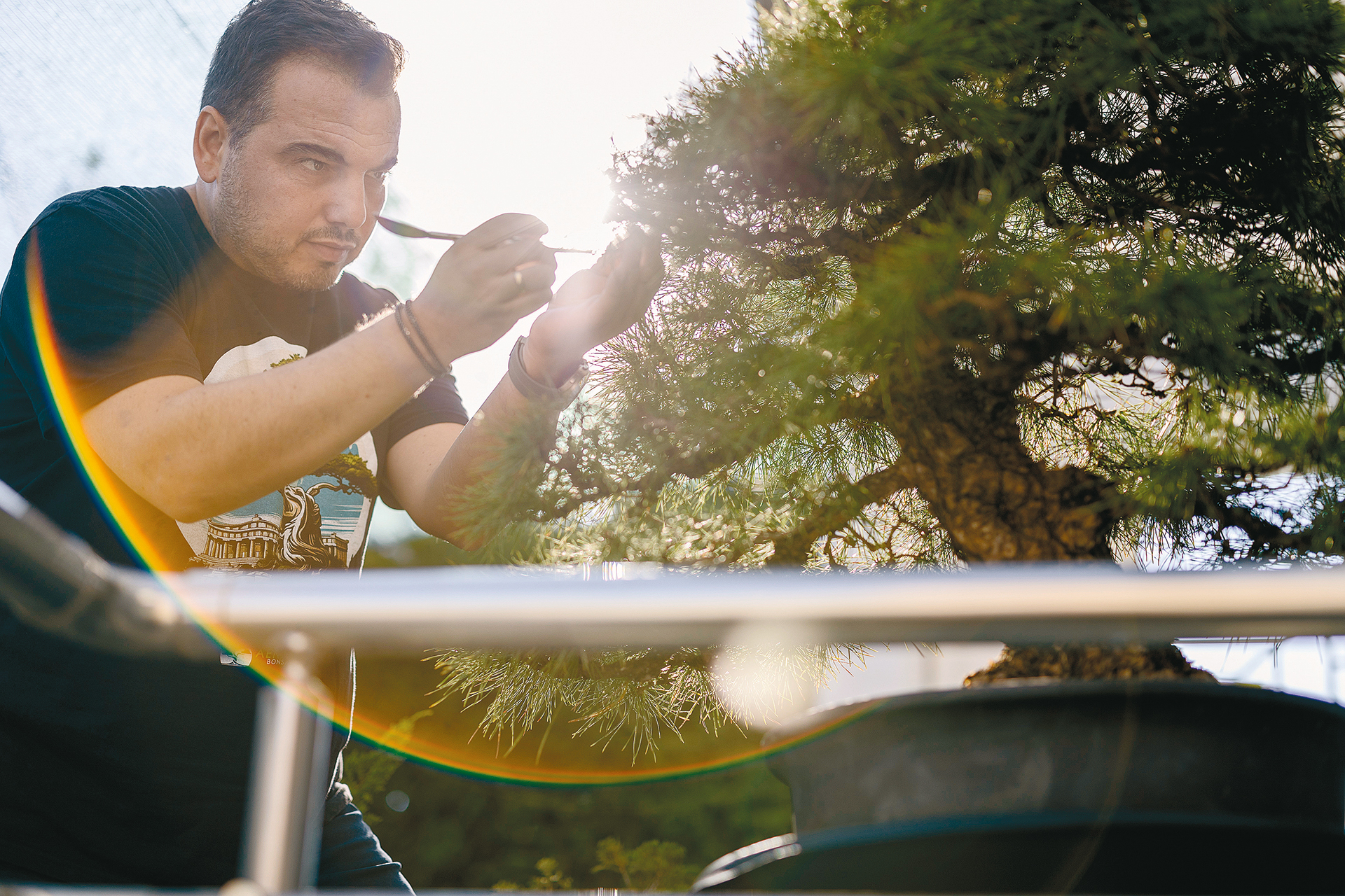 Υπάρχει κήπος με 100 μπονσάι στις Αχαρνές;-4