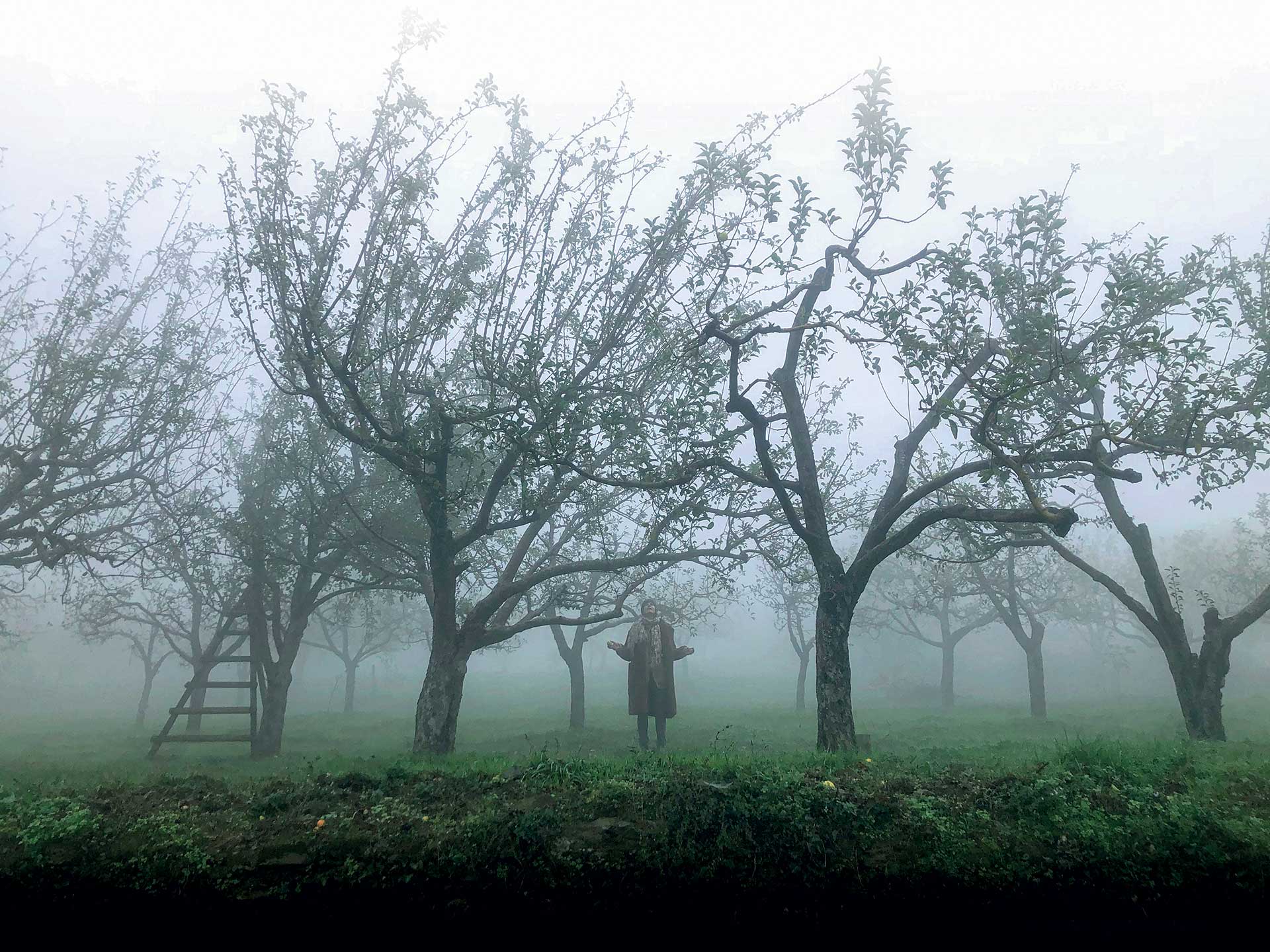 Ελένη Σικελιανός: «Δεν ξέρω ποια θα ήταν η εξέλιξή μου αν μεγάλωνα στην Ελλάδα»-1