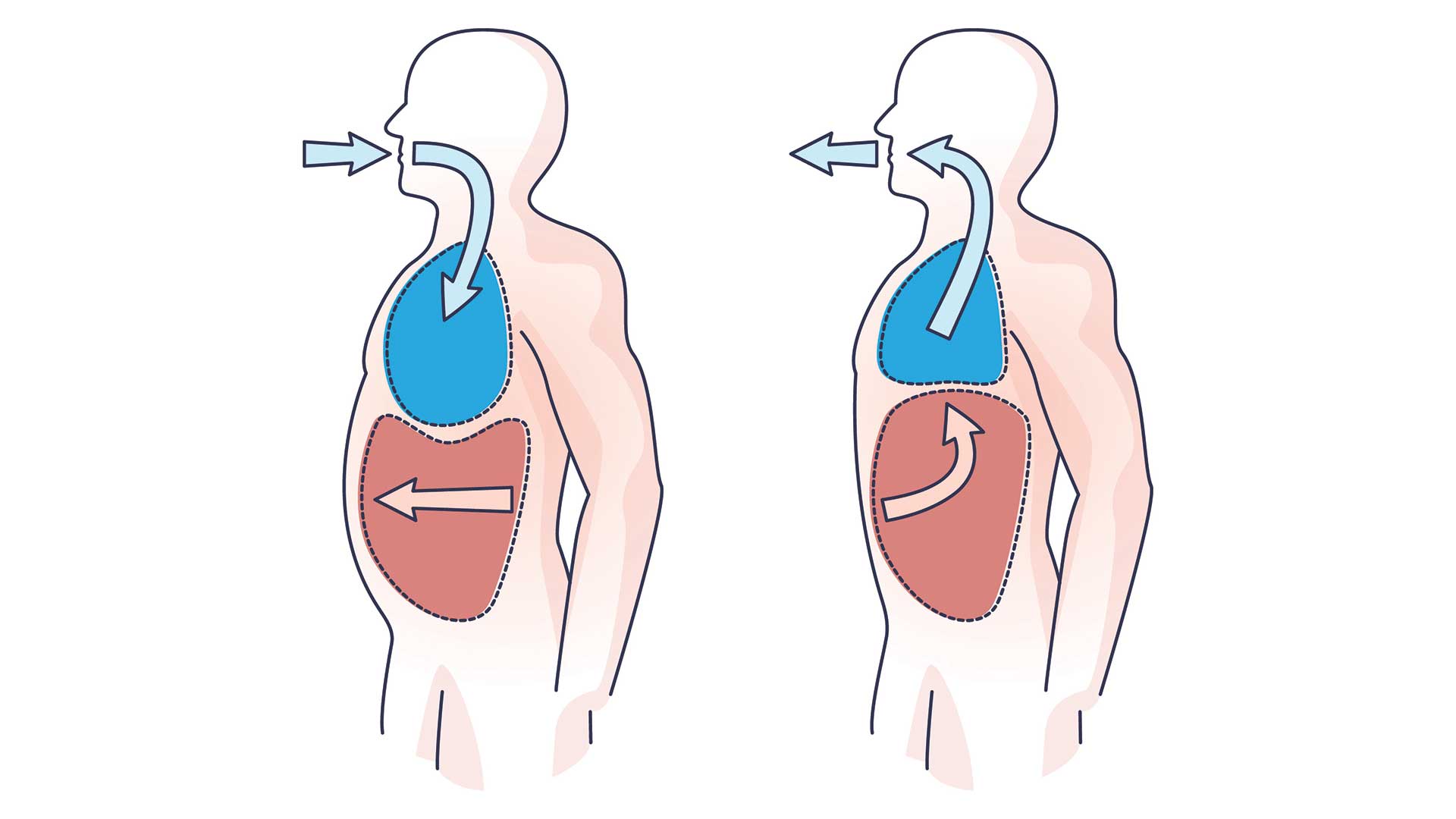 αναπνεύστε-καλύτερα-μετά-τo-κρυολόγημ-563321800