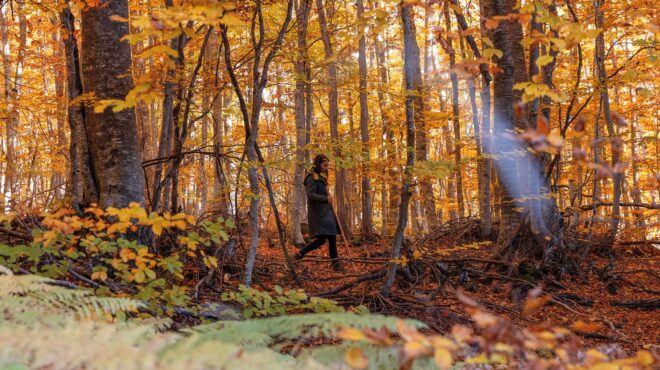 στο-νυμφαίο-σε-ένα-ατελιέ-σκαρφαλωμέν-563312002