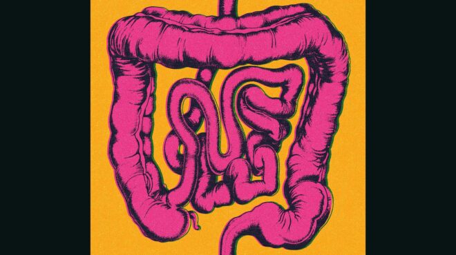 υπάρχει-και-δεύτερο-μυαλό-στο-σώμα-μ-563335951