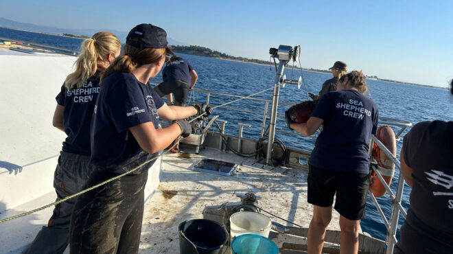 πόρτο-λάγος-ψάρεψαν-6-500-παγίδες-χταπο-563323210