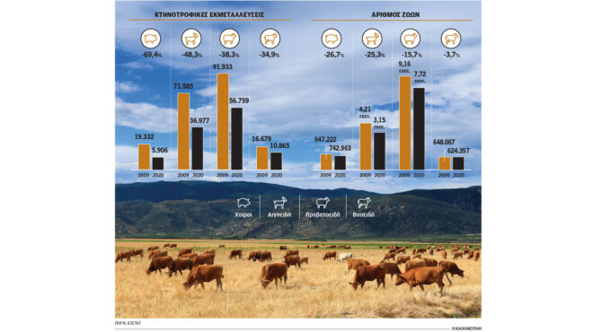 οι-ασθένειες-της-ελληνικής-κτηνοτρ-563347294