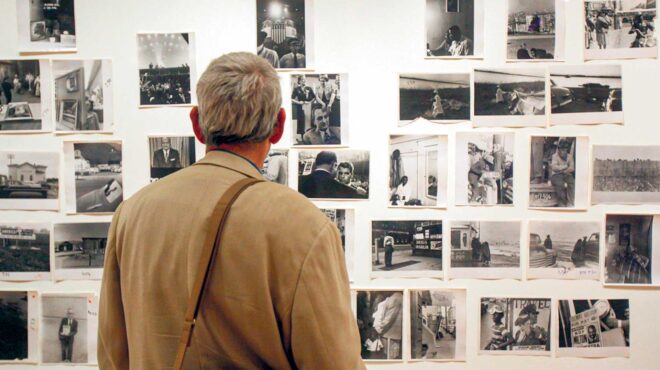 φλαμίνγκο-563325736